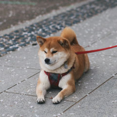 Testimonial-Rebekah-Leigh2